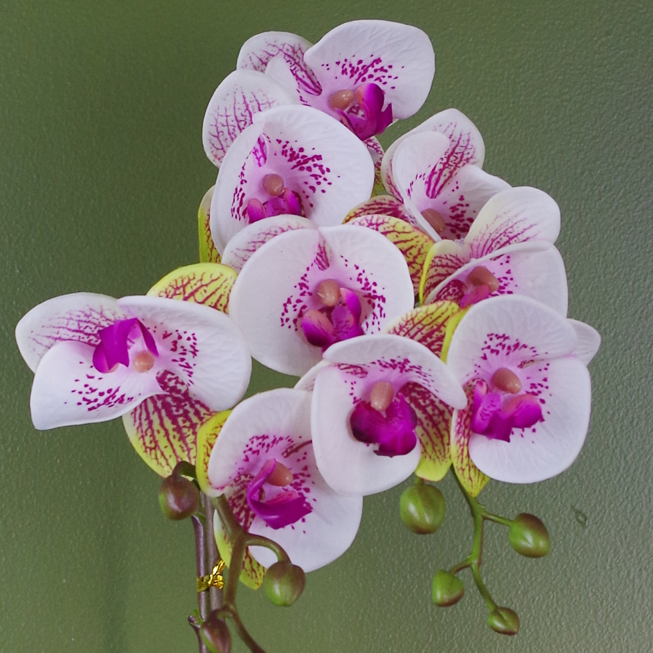 48cm Harlequin Orchid Artificial Pink with Gold Pot