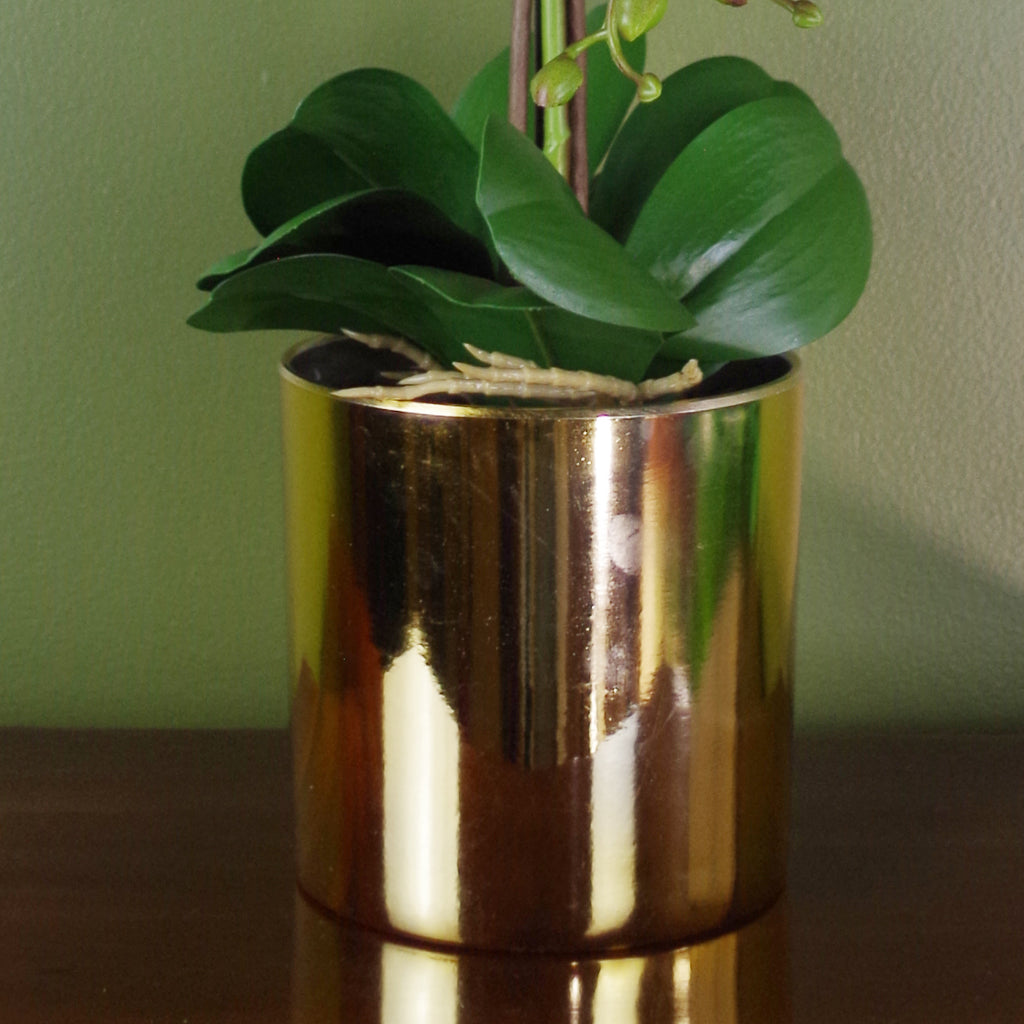 52cm Artificial Orchid Large White and Gold