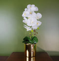 52cm Artificial Orchid Large White and Gold