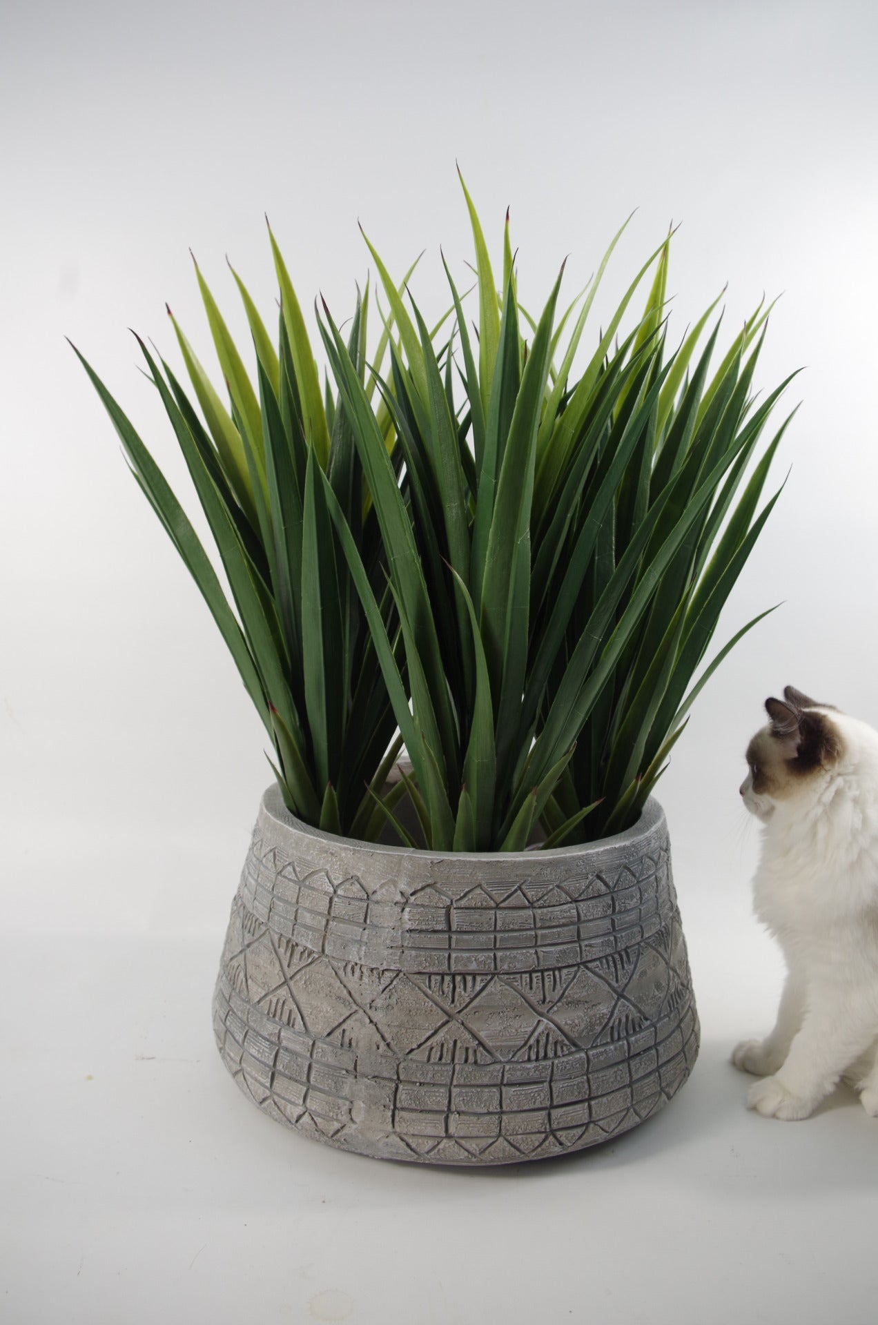22cm x 37cm Large Grey Gliese Embossed Planter