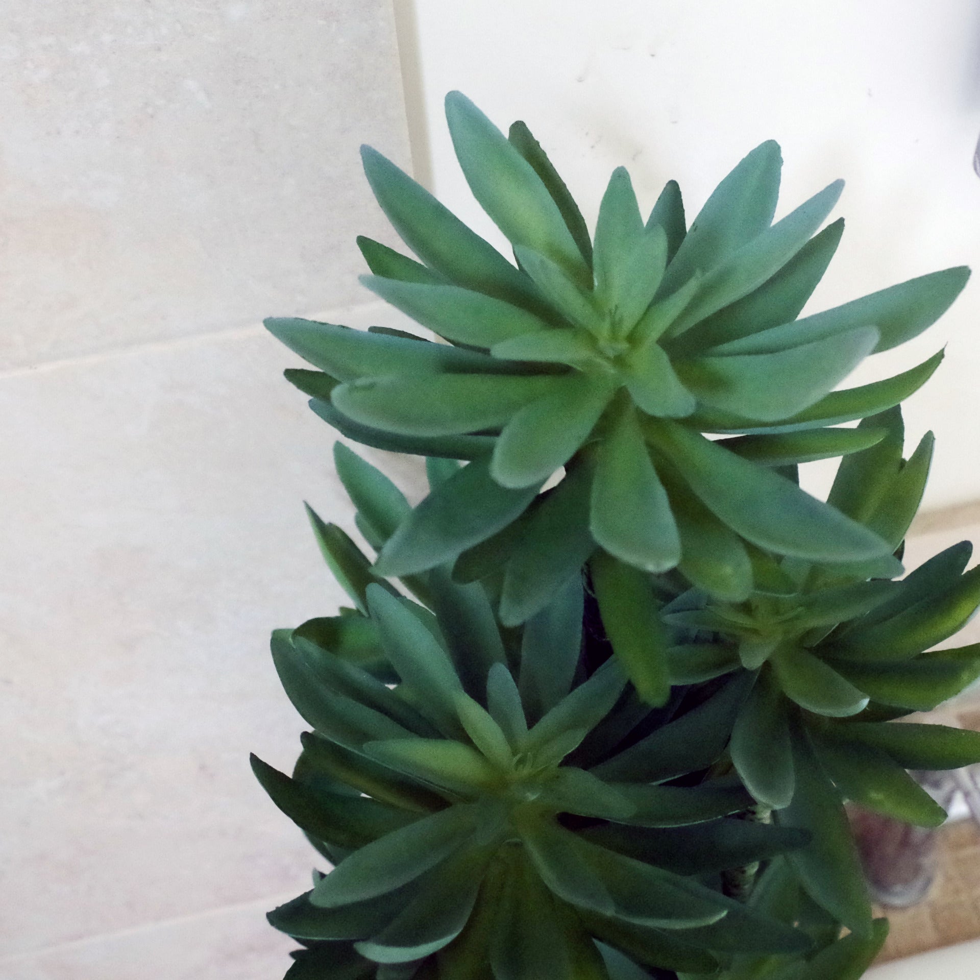 60cm Artificial Tropical Yukka Palm Potted in Planter