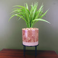 35cm Artificial Grass Plant with Contemporary Ceramic Planter and Metal Stand set