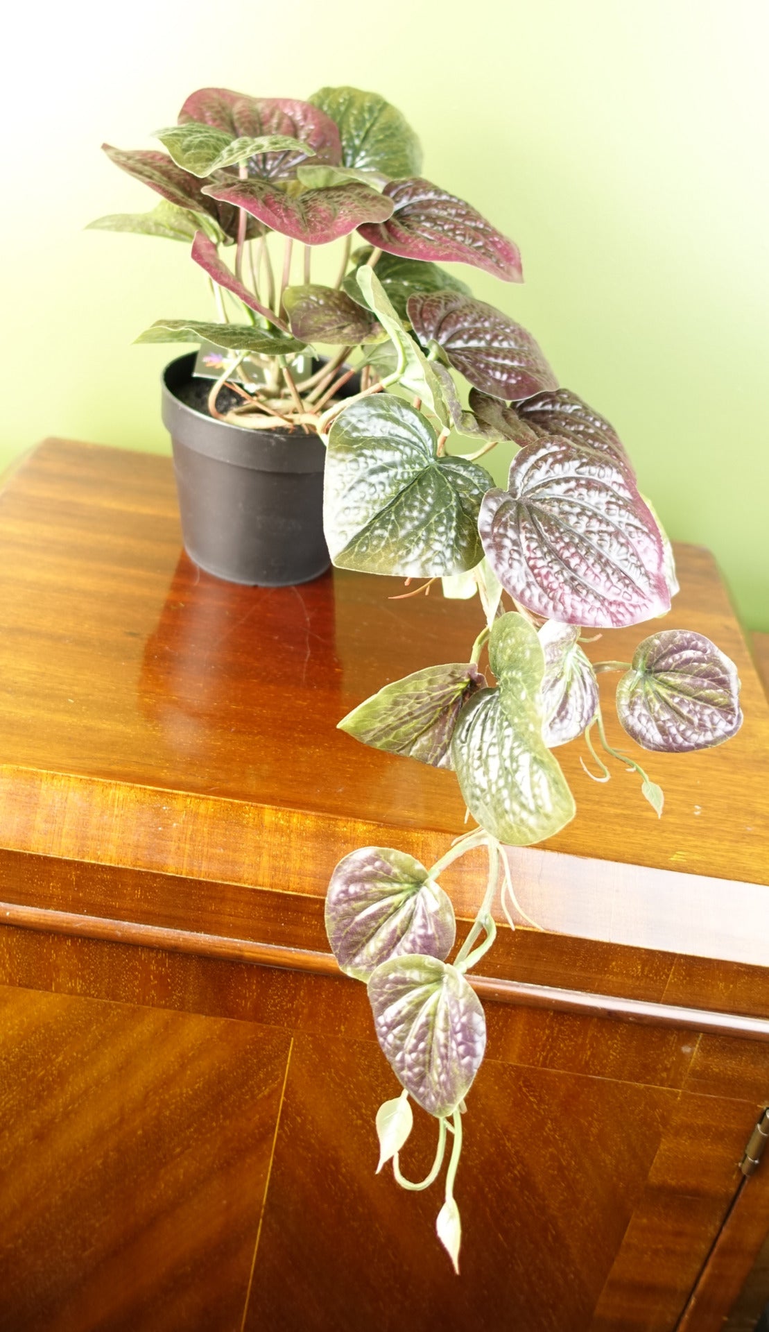 35cm Artificial Trailing Purple Potted Pothos Plant Realistic