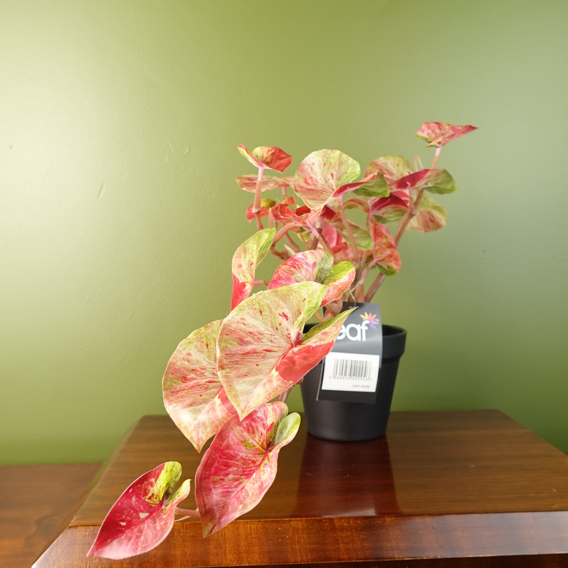 30cm Artificial Pink Caladium Potted Trailing Plant Realistic