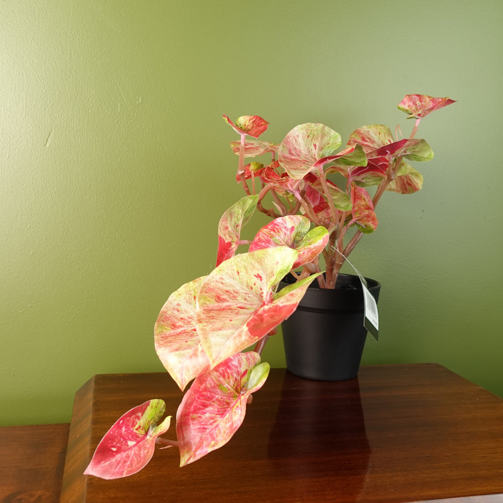 30cm Artificial Pink Caladium Potted Trailing Plant Realistic