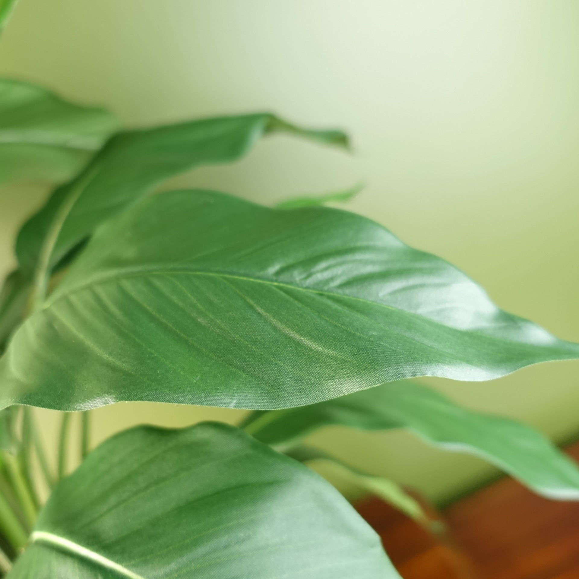 artificial peace lily uk Artificial Peace Lily White Spathiphyllum
