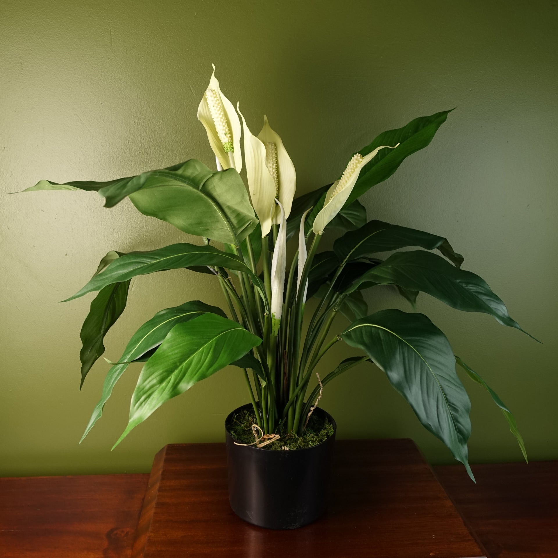 artificial peace lily plant Artificial Peace Lily White Spathiphyllum