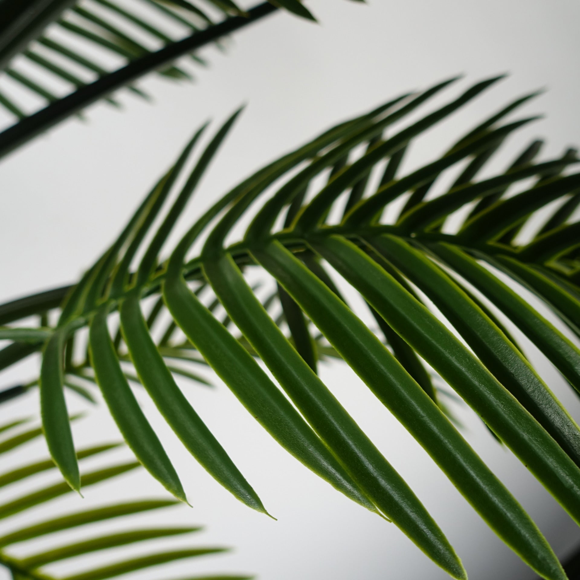 125cm Artificial UV Resistant Raphis Palm Tree with Natural Trunk