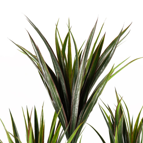 105cm Artificial UV Resistant Yucca Tree with 179 Leaves