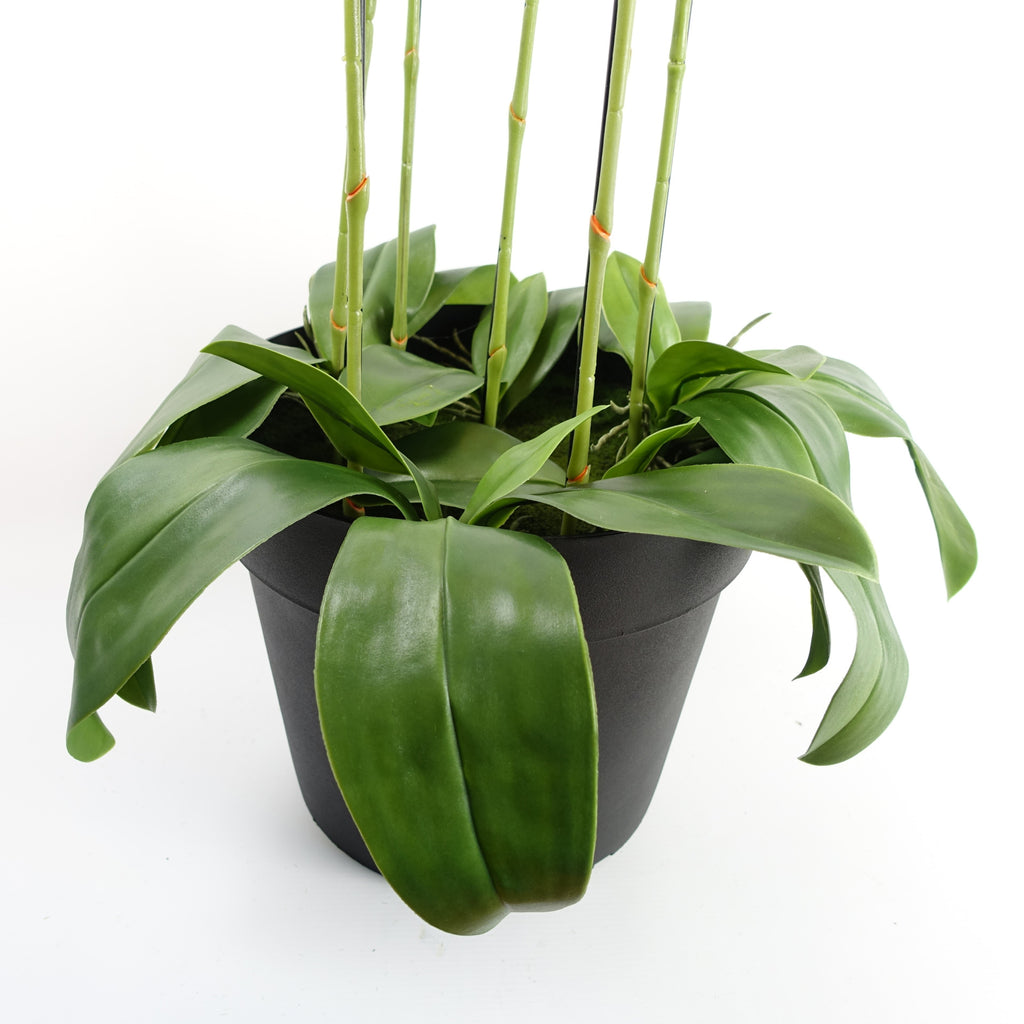 110cm Artificial Large Yellow Peach Orchid Plant Artifcial 41 REAL TOUCH flowers