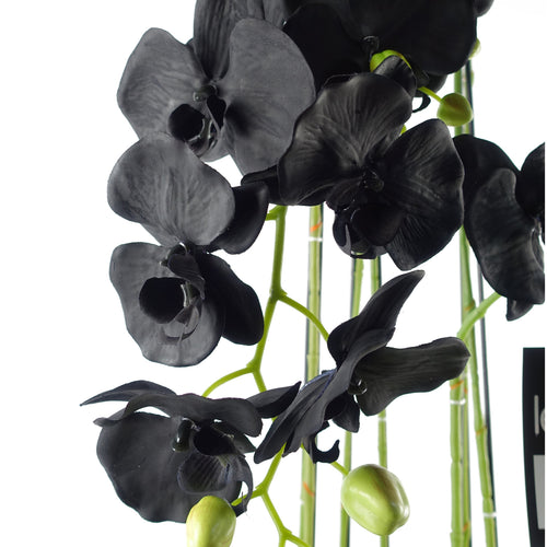 110cm Artificial Large Black Orchid Plant Artifcial 41 REAL TOUCH flowers