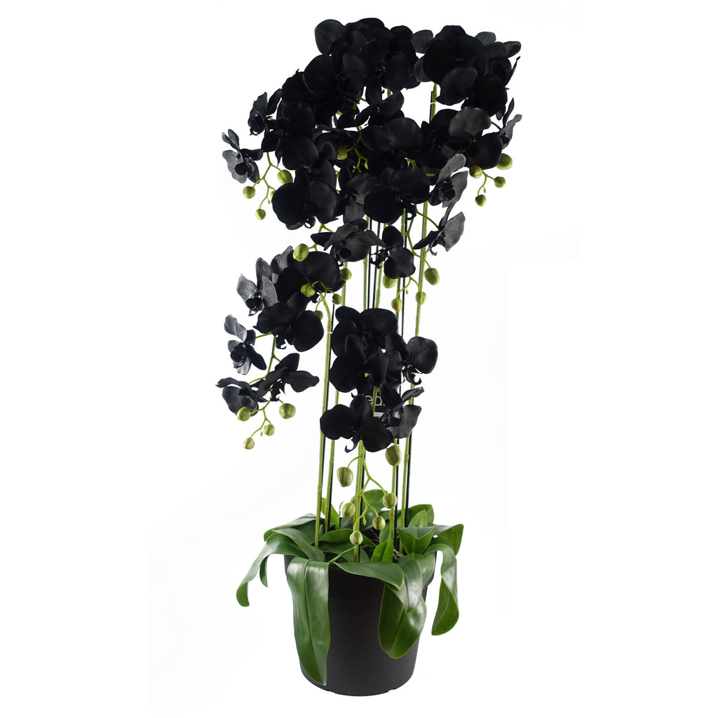 110cm Artificial Large Black Orchid Plant Artifcial 41 REAL TOUCH flowers