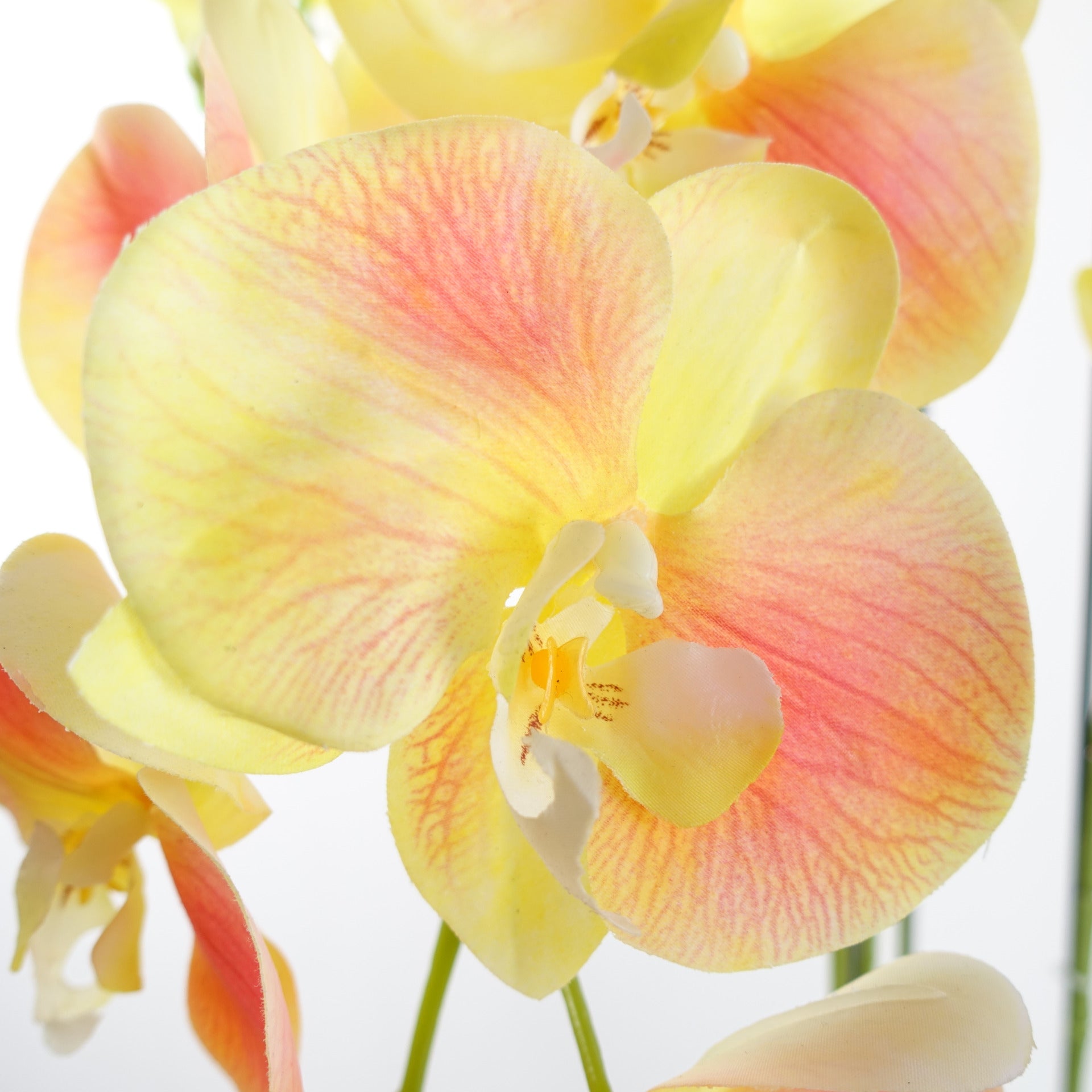 110cm Artificial Large Yellow Peach Orchid Plant Artifcial 41 REAL TOUCH flowers