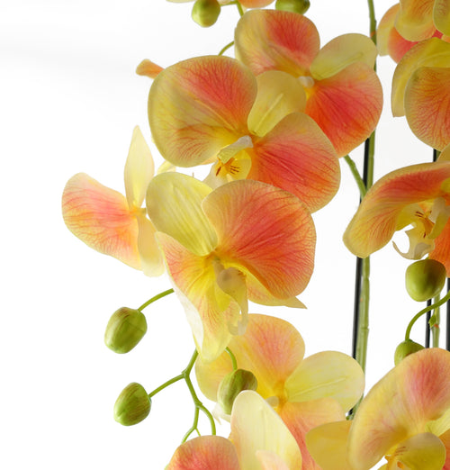 110cm Artificial Large Yellow Peach Orchid Plant Artifcial 41 REAL TOUCH flowers