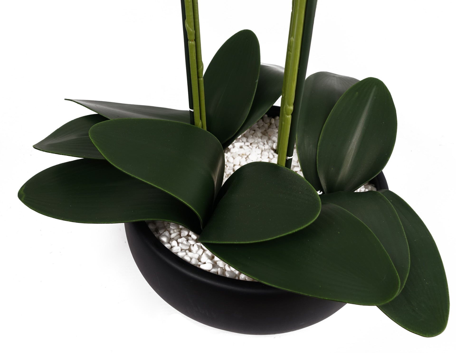 60cm Orchid Artificial Yellow Black Ceramic Planter