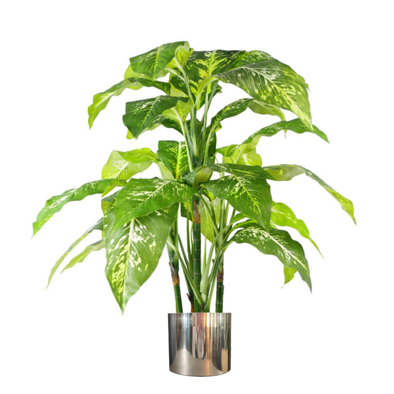 100cm Large Fox's Aglaonema (Spotted Evergreen) Tree Artificial Plant