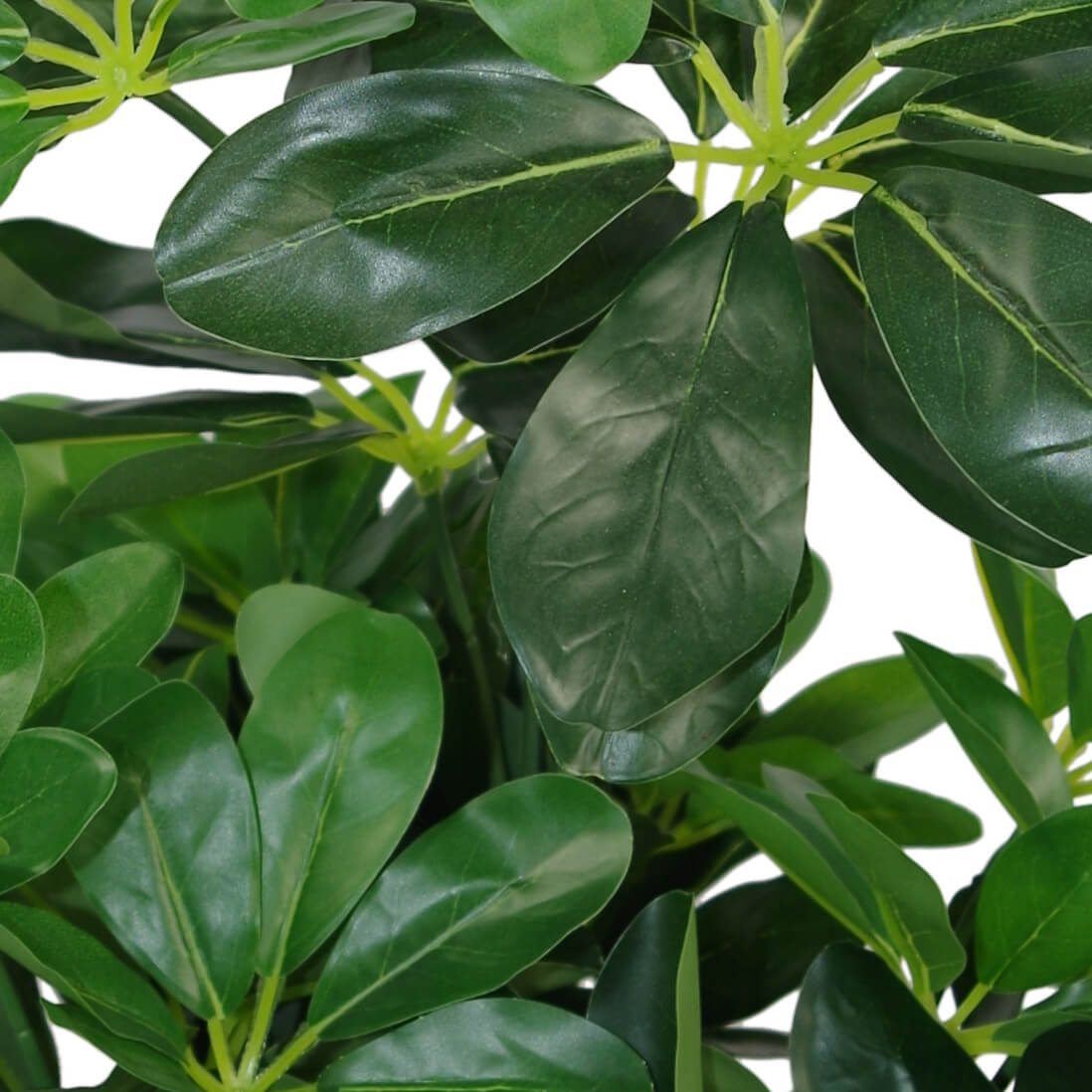 55cm Dark Green Artificial Umbrella Plant