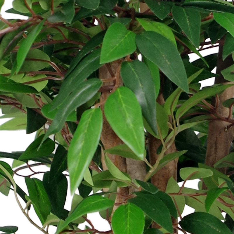 90cm Luxury Smilax Sarsaparilla Artificial Ficus Tree Premium Range