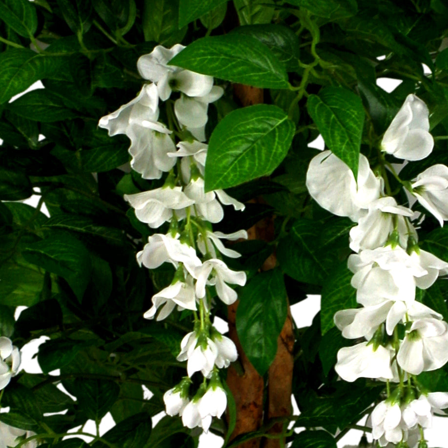 130cm Luxury Artificial Wisteria Tree White Flowers Premium Range