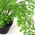 35cm Artificial Potted Fern Plant (Southern Maidenhair Fern)