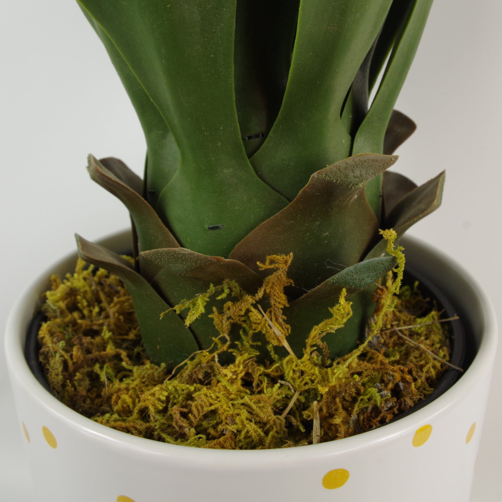 55cm Artificial Yucca Plant