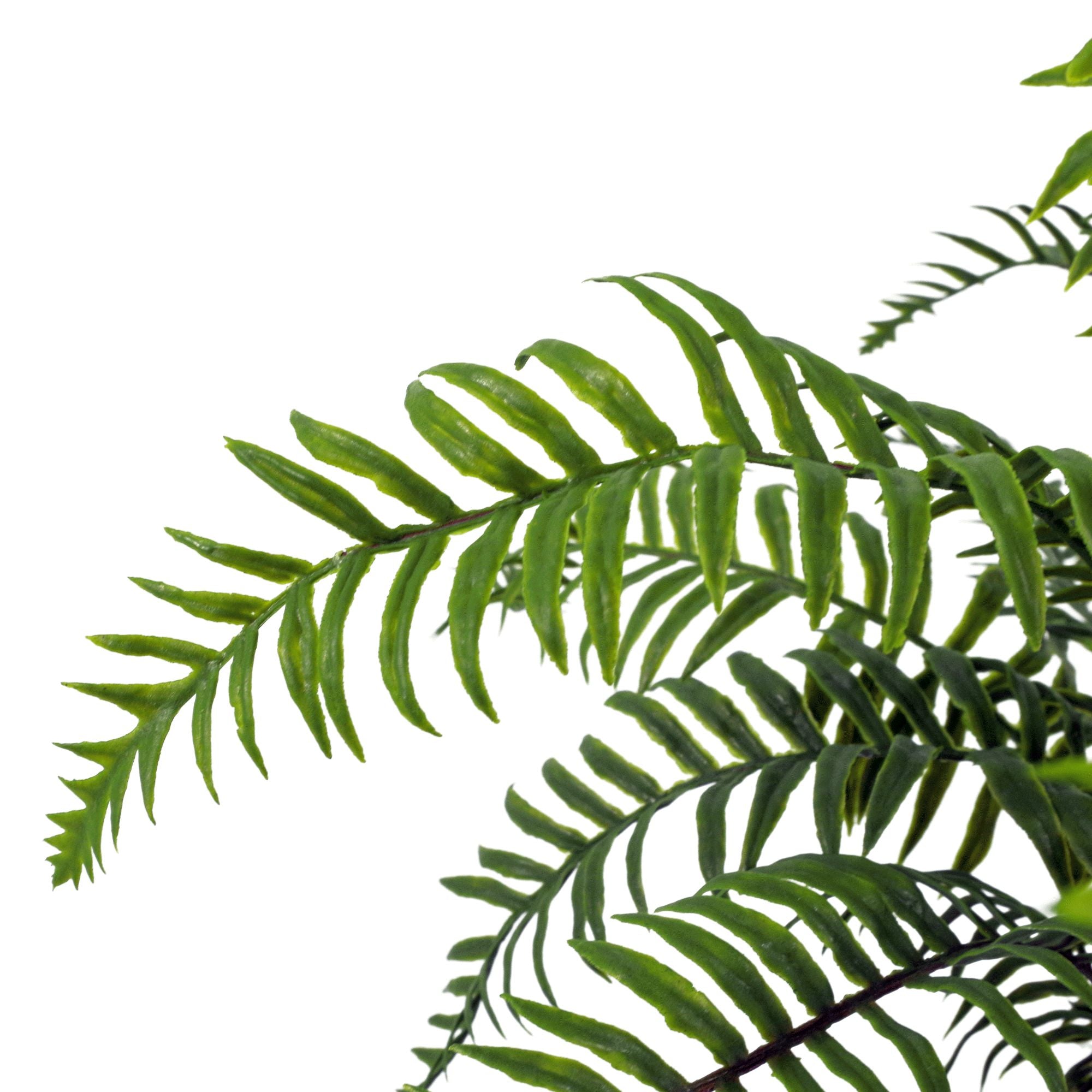 50cm Artificial Boston Fronded Fern Plant