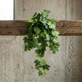 70cm Artificial Trailing Grape Ivy Plant Faux Hanging Foliage - Green - Premium Quality