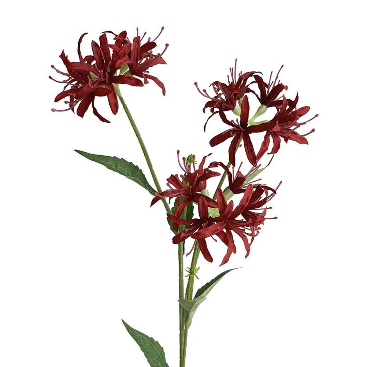 Faux Spider Lily Stems, 72cm with 3 Flower Heads - Set of 6