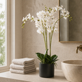 60cm Botanik Realistic Artificial Orchid Flower Display in Pot