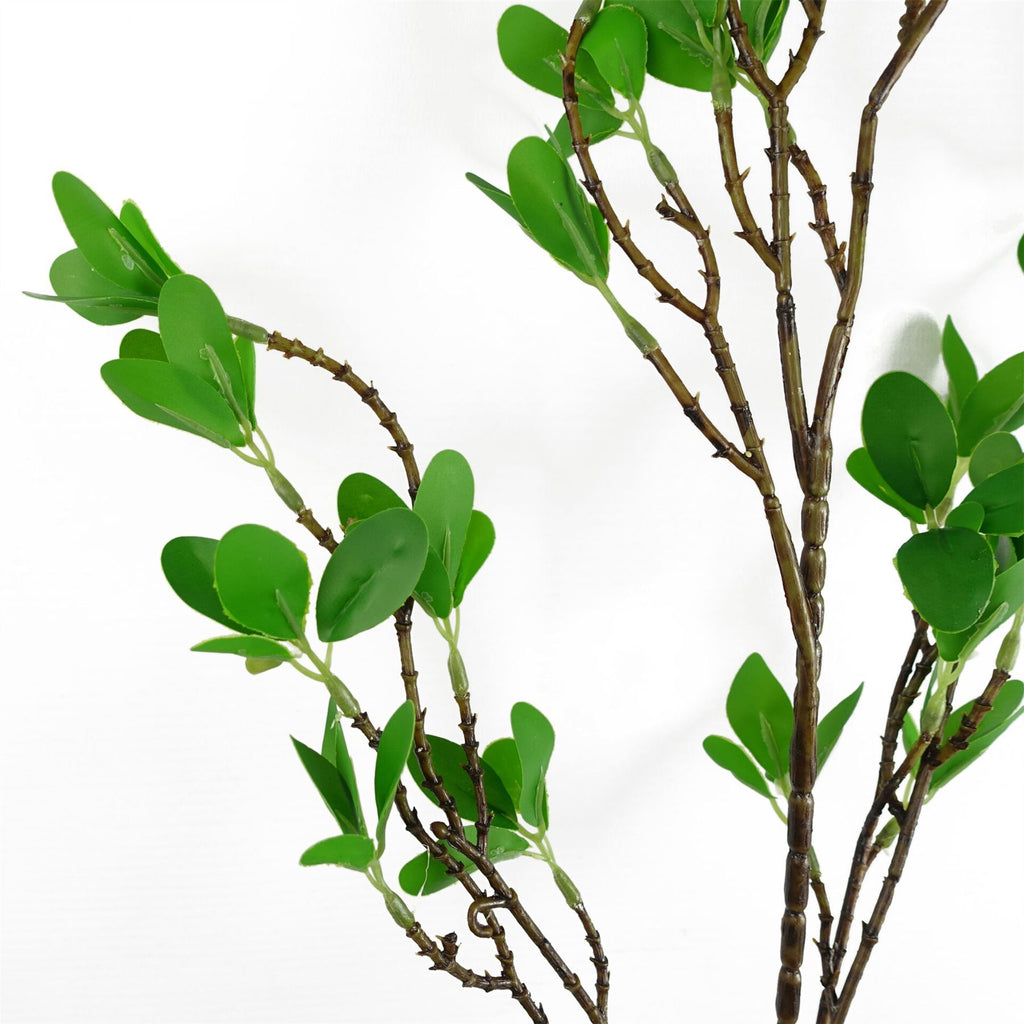 Artificial Pack of 6 x 100cm Mini Botanik Ficus Stem - Premium Quality