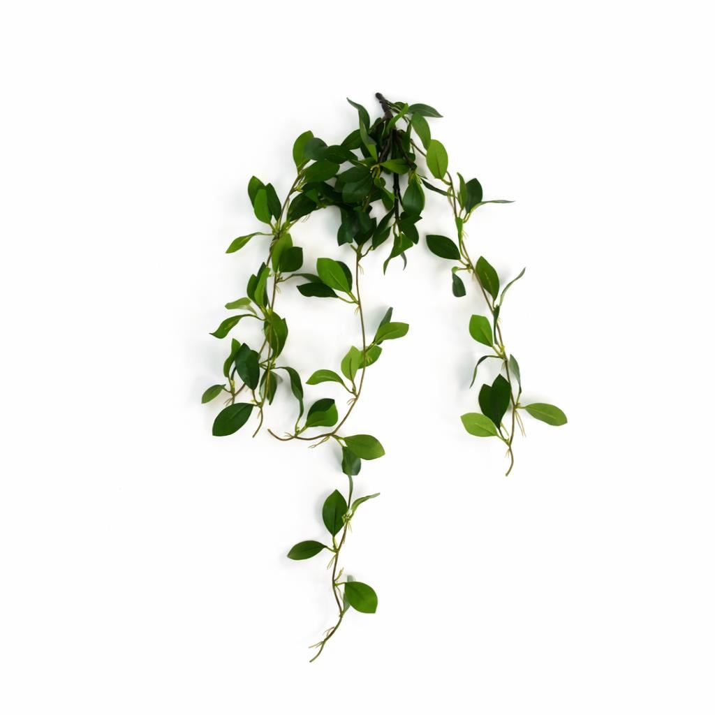 55cm Artificial Trailing Ficus Vine Stem - Premium Quality
