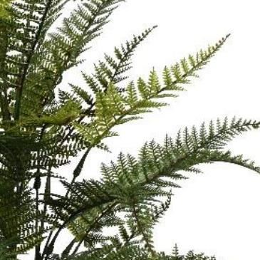Pack of 6 x 78cm Fire Retardant Artificial Fern Foliage Branch - Premium Quality