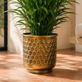 20cm Gold Honeycomb Metal Planter by Botanik - Premium Quality