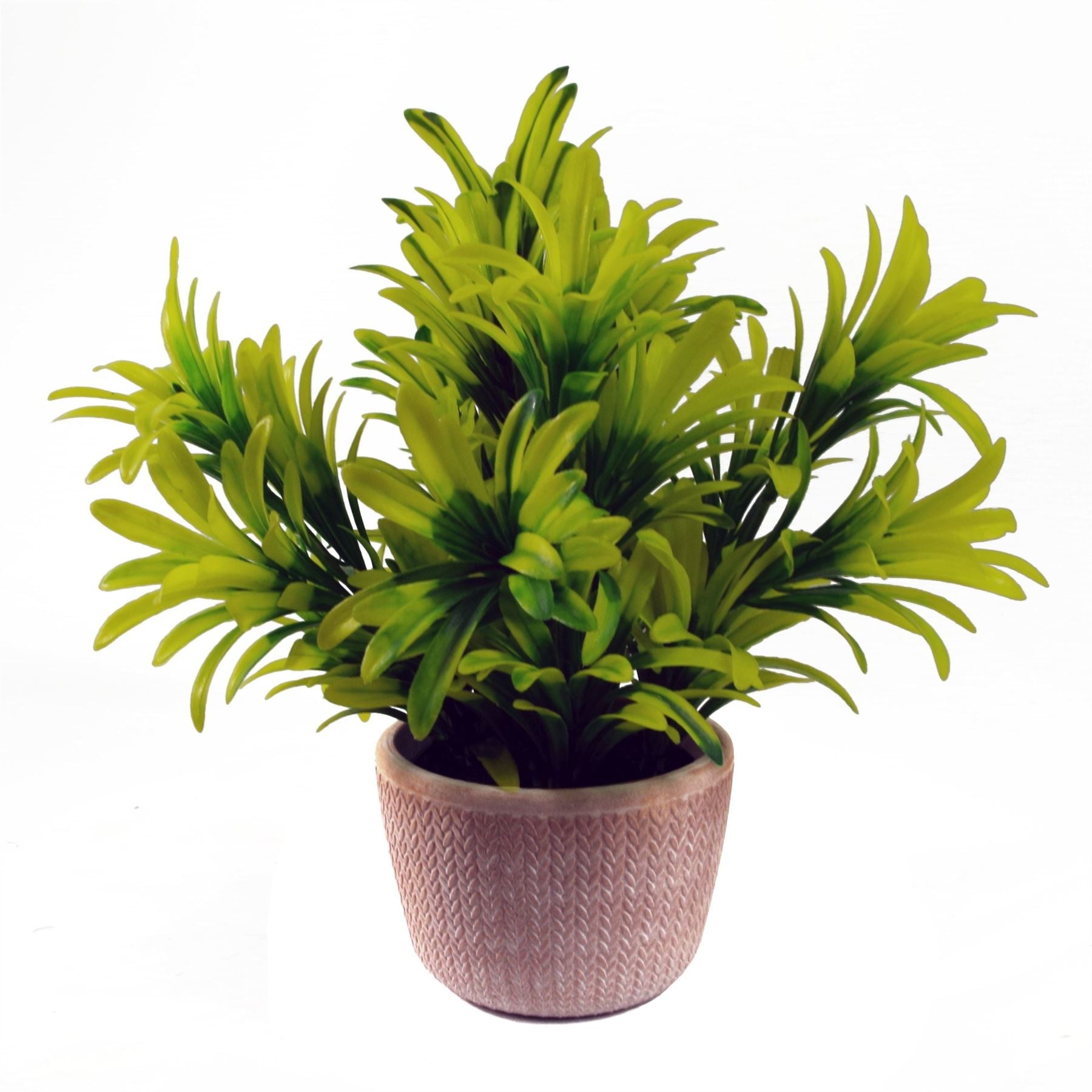 22cm Artificial Foliage Honey Plant Light Green in Terracotta Pot