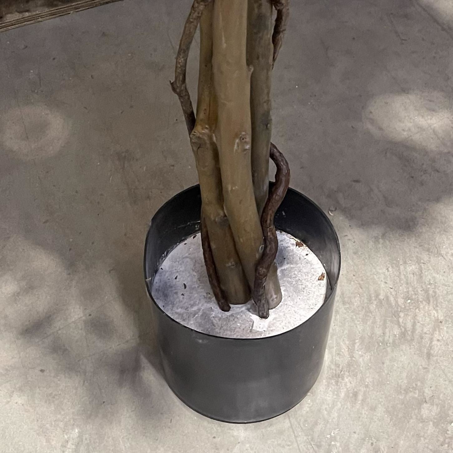 180cm Artificial Fire Retardant Black Olive Tree with 2925 Leaves and Natural Trunk - Premium Quality