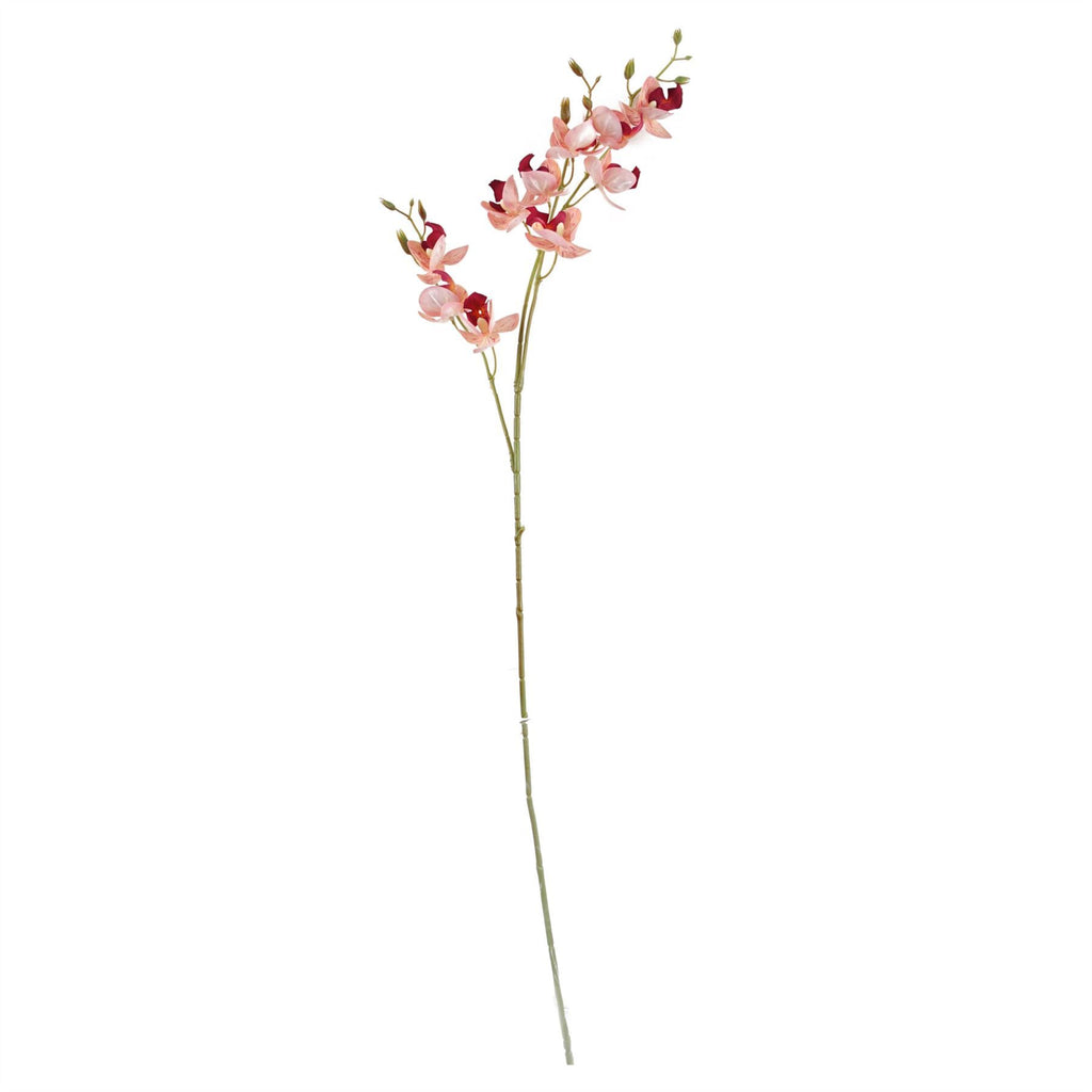 65cm Artificial Mixed Wild Orchid and Ferns Glass Vase - Premium Quality