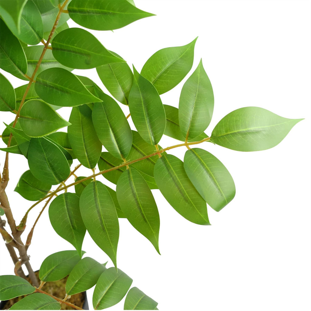 110cm Artificial Toona Sinensis Tree Evergreen - Premium Quality
