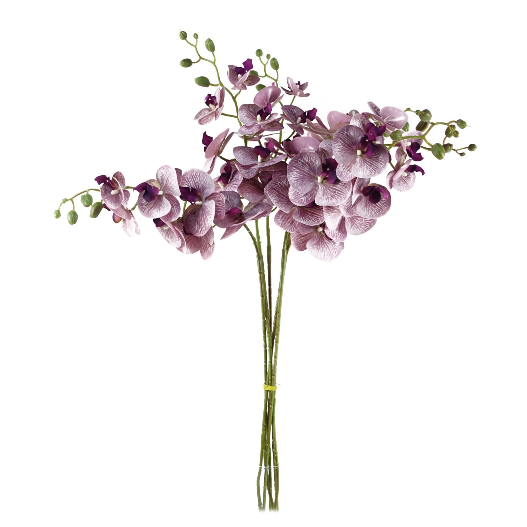 Pack of 6 x 100cm Artificial Phalaenopsis Orchid Purple Stem - 42 Flowers - Premium Quality