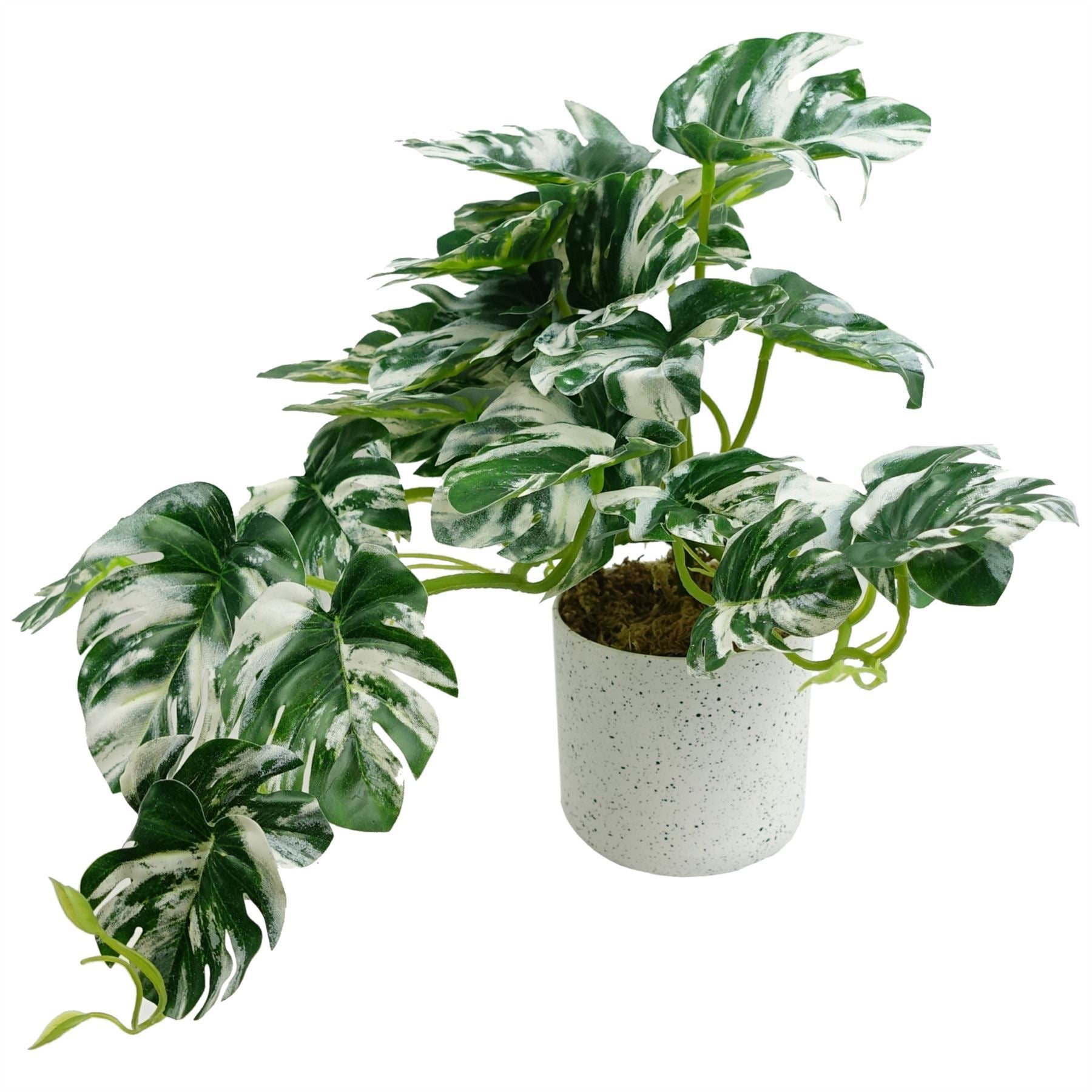 30cm Artificial Variegated Green Potted Monstera Trailing Plant - Premium Quality
