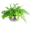Large Artificial Ferns Display with XL Metal Silver Bowl Planter 50x65cm - Premium Quality