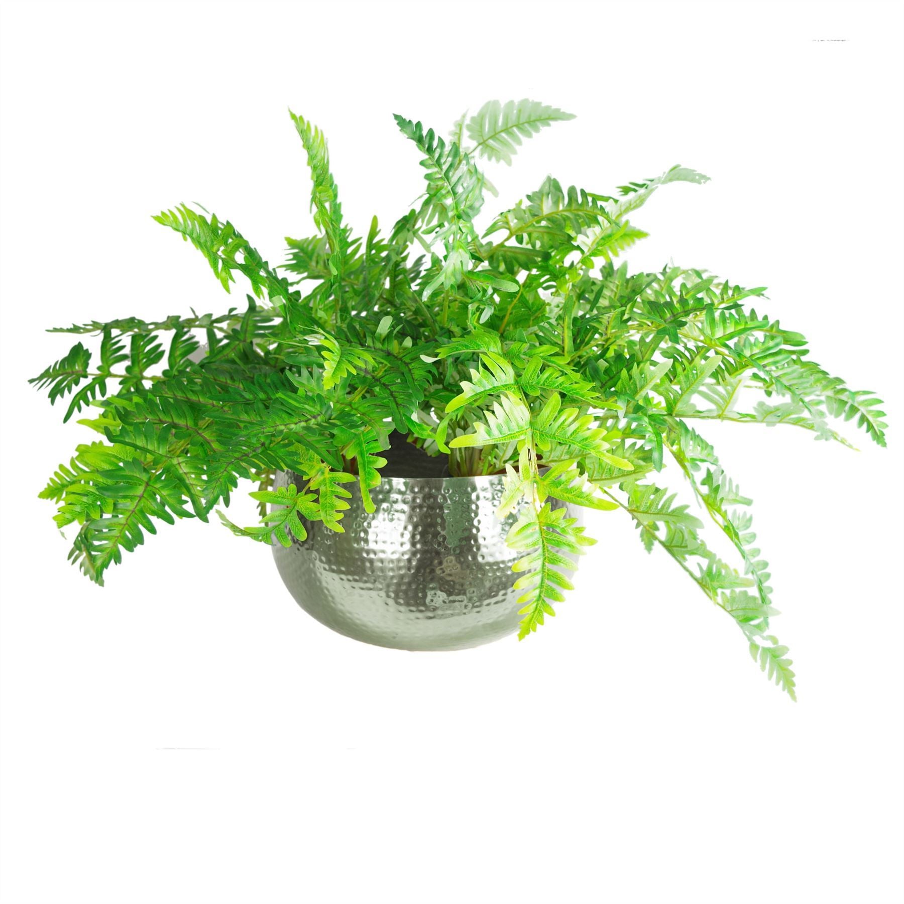 Large Artificial Ferns Display with XL Metal Silver Bowl Planter 50x65cm - Premium Quality