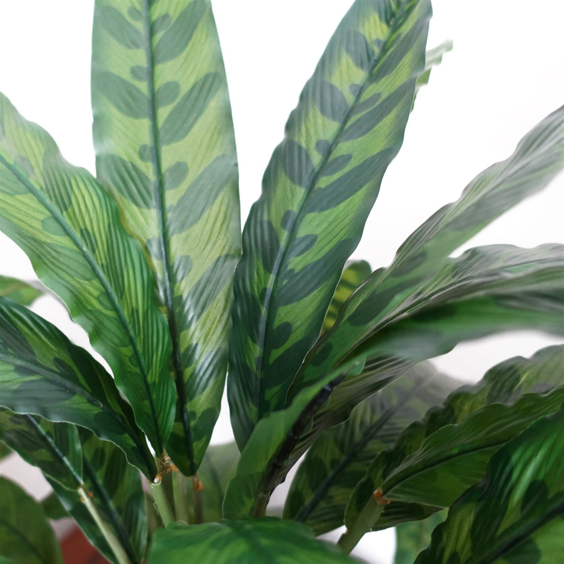 60cm Variegated Artificial Calathea Plant - Premium Quality