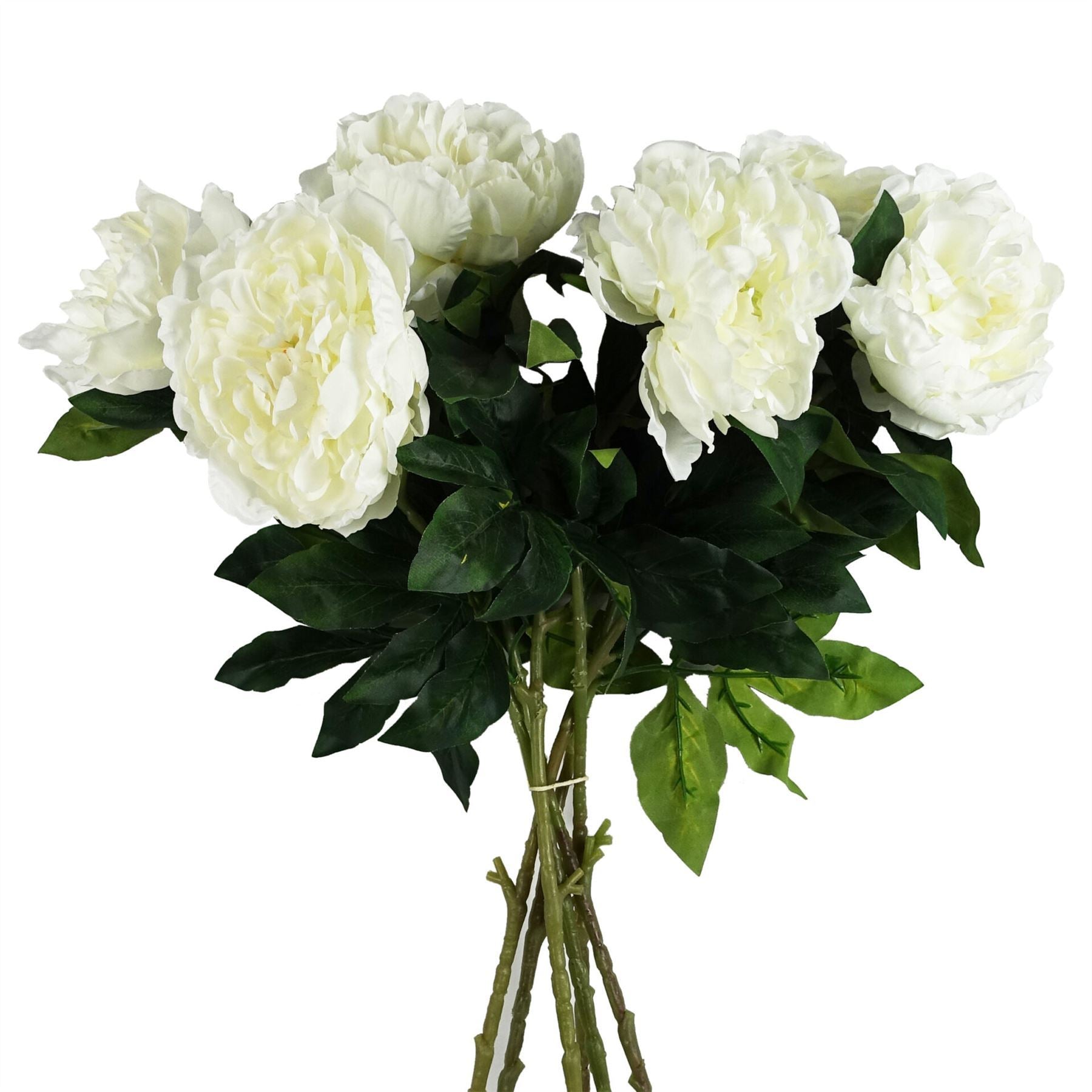 Pack of 6 x 80cm Artificial Cream Peony Stem - Premium Quality