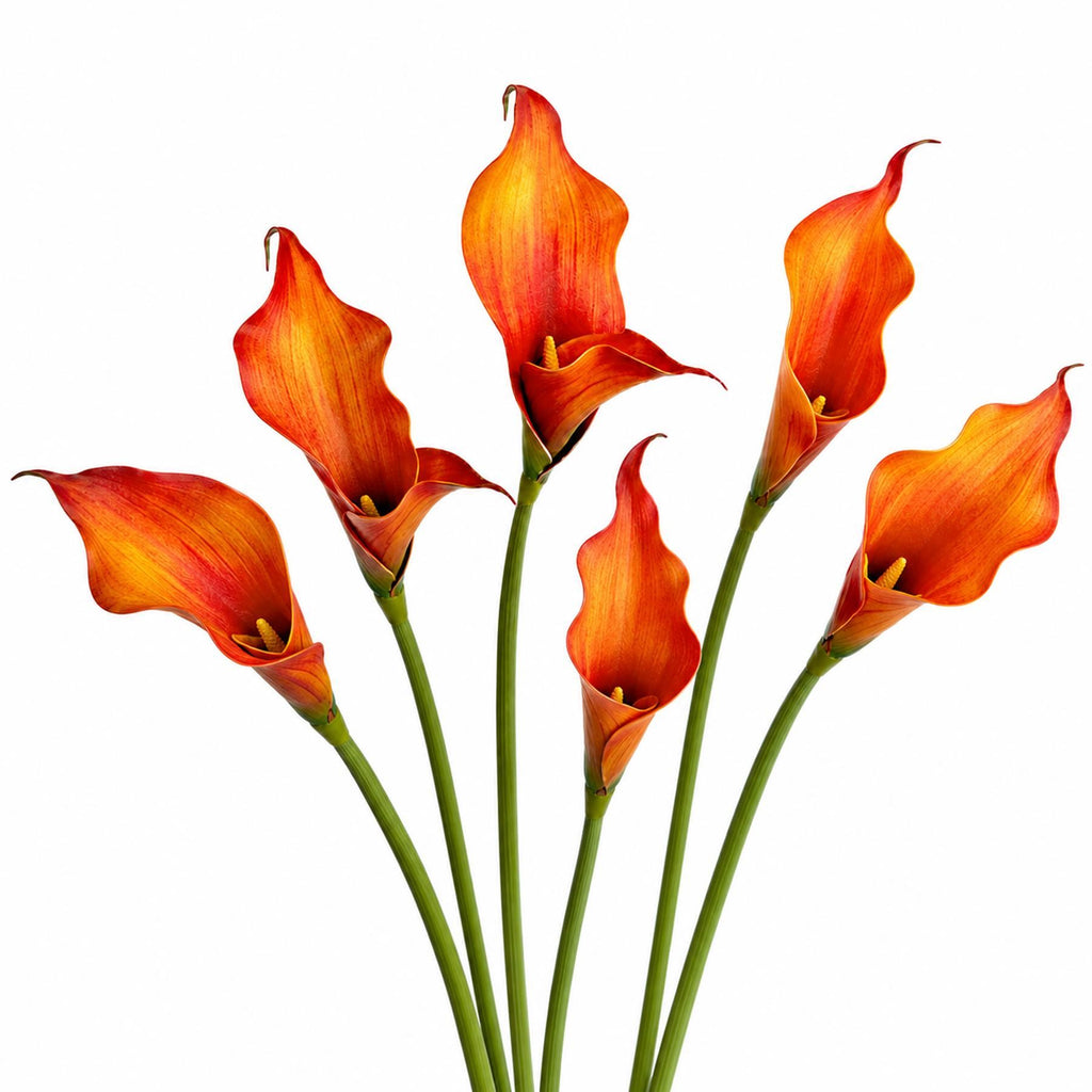 Faux Calla Lily Stems, 70cm Single-Bloom Flowers - Set of 6