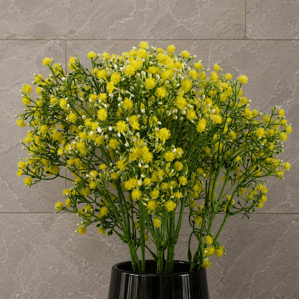 Pack of 6 x 55cm Gypsophila Yellow Stem - Premium Quality