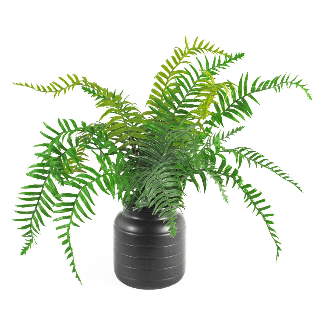 Black Vase Planter 13 x 13 x 14cm