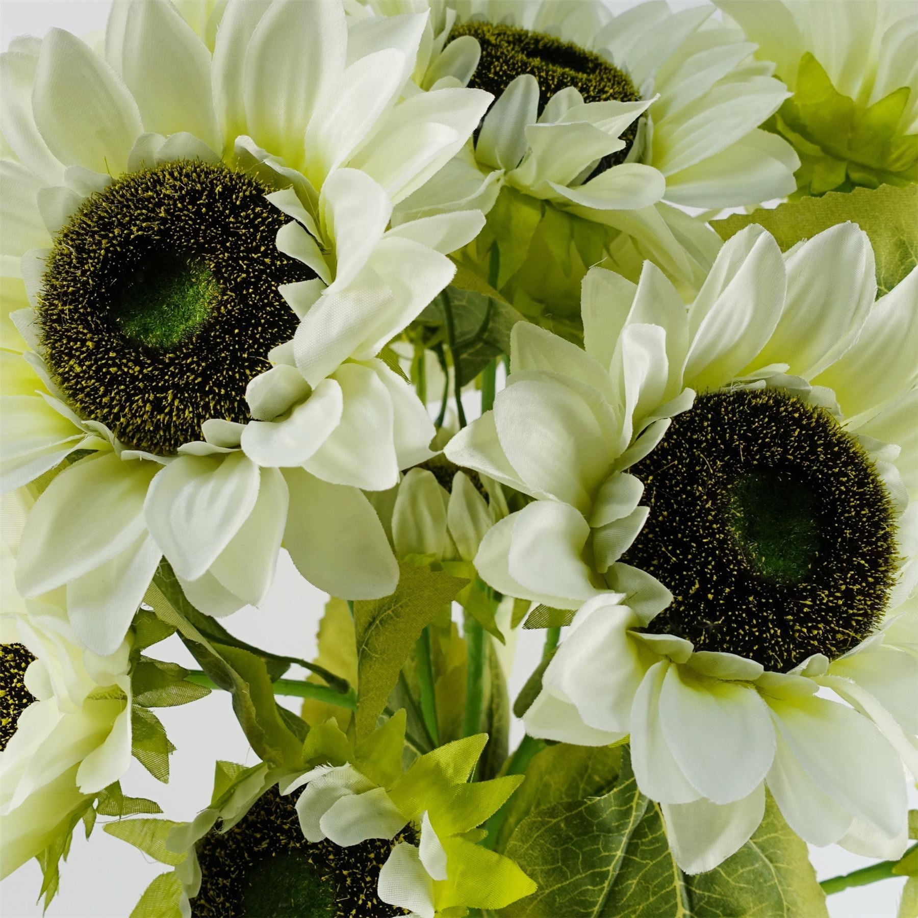 Pack of 6 x 88cm White Artificial Sunflower - 18 heads - Premium Quality