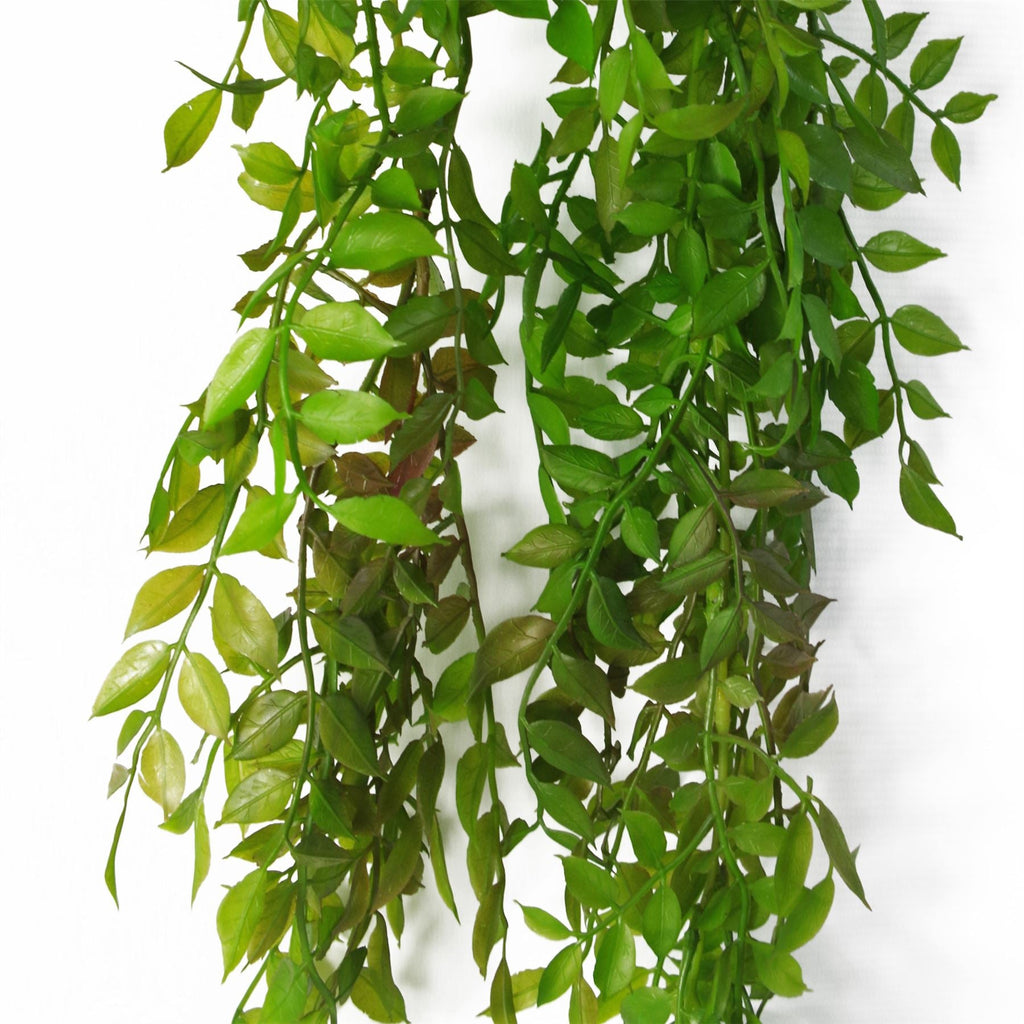 100cm Artificial Hanging String of Pearls Fern Plant