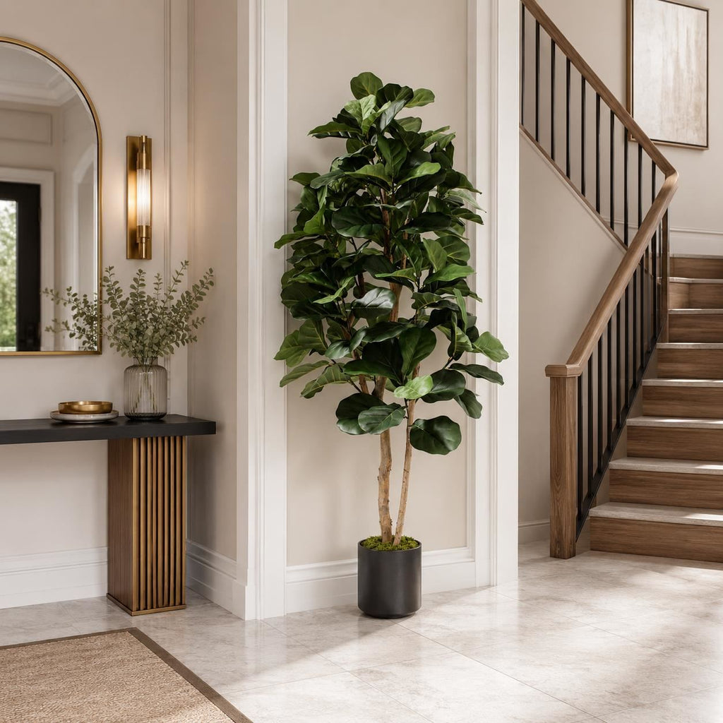 180cm Artificial Fiddle Fig Deluxe Tree - Premium Quality