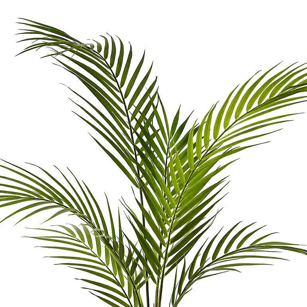 70cm Artificial Areca Palm Tree - Premium Quality (image 5 of 5)